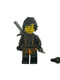 Lego Ninjago-Cole